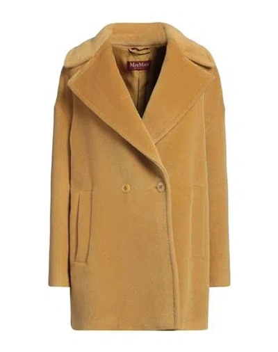 Max Mara Studio Woman Coat Marigold Size 8 Alpaca Wool, Virgin Wool In Yellow