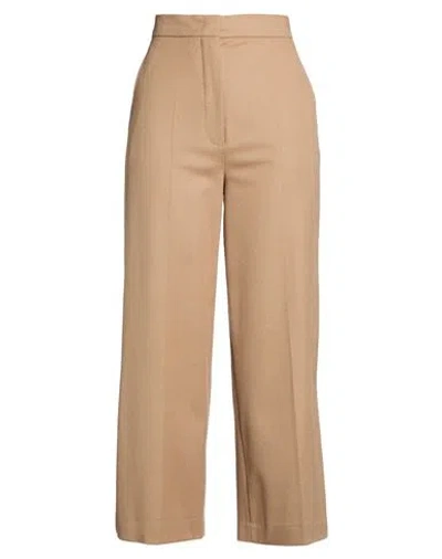 Max Mara Studio Woman Pants Camel Size 8 Virgin Wool In Brown