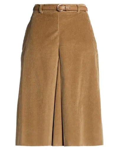 Max Mara Studio Woman Shorts & Bermuda Shorts Camel Size 6 Cotton In Beige