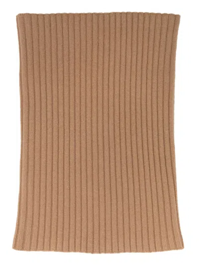 Max Mara Subdolo Belt In Brown