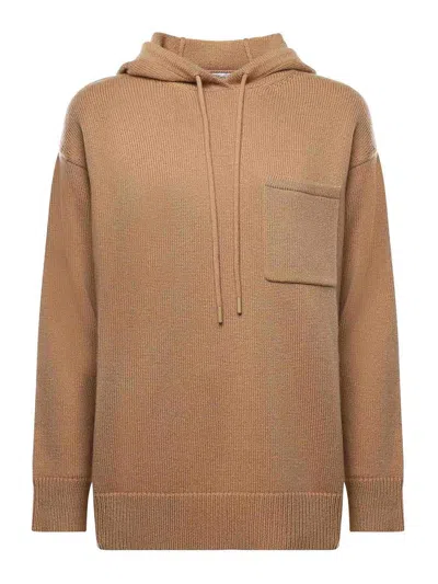 Max Mara Wool And Cashmere Hoodie In Brown