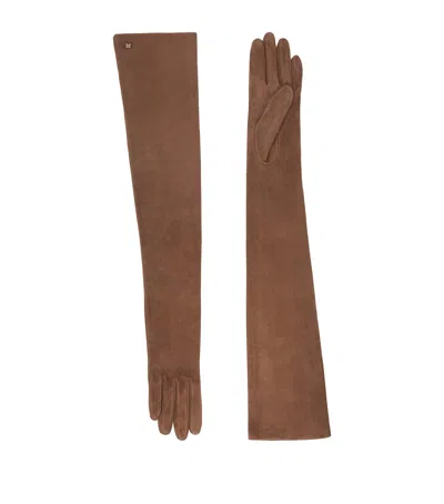 Max Mara Suede Long Gloves In Brown
