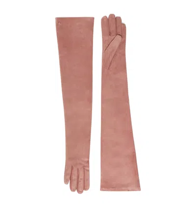 Max Mara Suede Long Gloves In Pink
