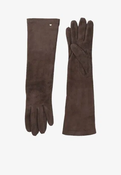Max Mara Suede Nappa Gloves In Brown