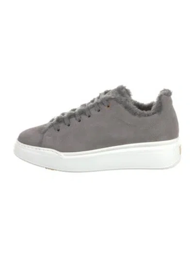 Pre-owned Max Mara Suede Sneakers In Gray