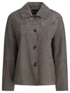 Max Mara Sueded Taupe Jacket With Classic Collar In Gray