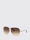 Max Mara Miller-2 Sunglasses In Brown