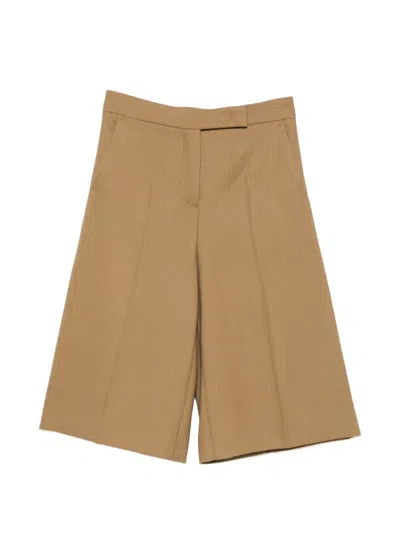 Max Mara Superbo Shorts In Brown