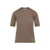 Max Mara Short-sleeve Virgin Wool Sweater With Classic Round Neckline In Brown