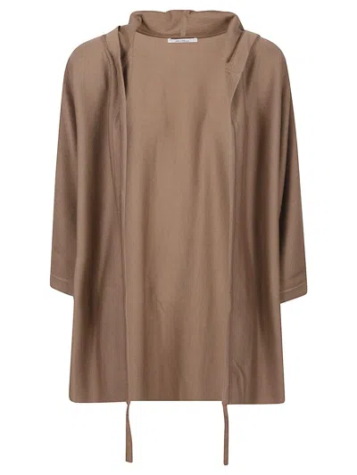 Max Mara Sweater In Brown