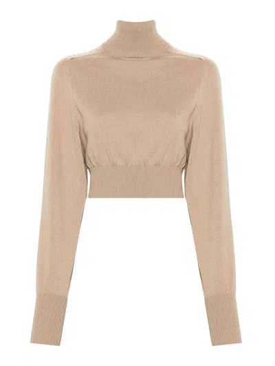 Max Mara Roll-neck Wool Jumper In Brown