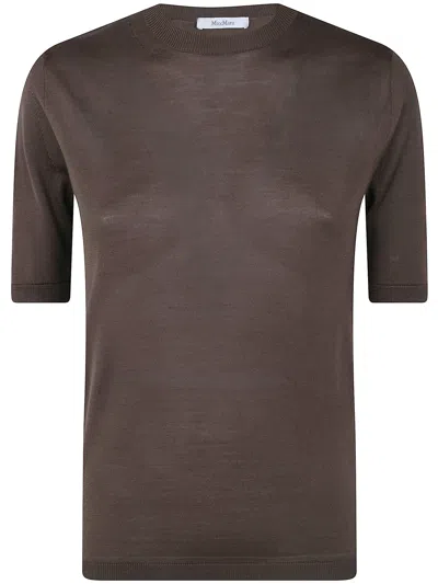 Max Mara Mxm Aceti Crew Neck Knit Top In Brown