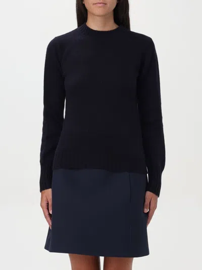 Max Mara Sweater  Woman Color Blue In Blau