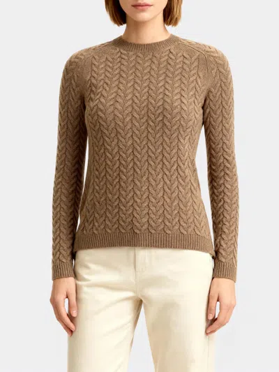 Max Mara Sweater  Woman Color Brown