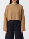 Max Mara Sweater  Woman Color Brown In Multi