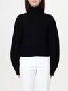 Max Mara Sweater In Wool And Cashmere Blend In Black