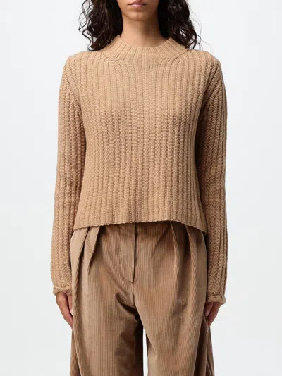 Max Mara Sweater Woman Brown