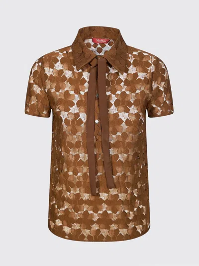 Max Mara Sweater Woman  Studio In Brown