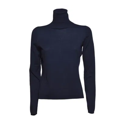 Max Mara Sweaters In Blue