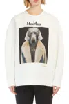 Max Mara Bacco Sweatshirt In Ivory/camel