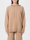 Max Mara Wool And Cashmere Hoodie In Brown