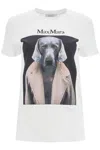 Max Mara Woman Cipria Woman White T-shirts In White
