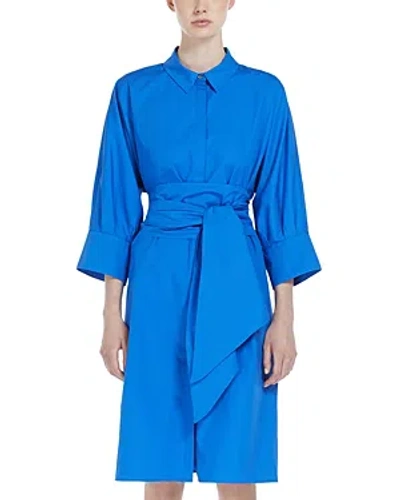Max Mara Tabata Dress In Cornflower