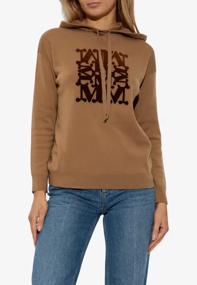 Max Mara Taddeo Monogram Knit Sweatshirt In Brown