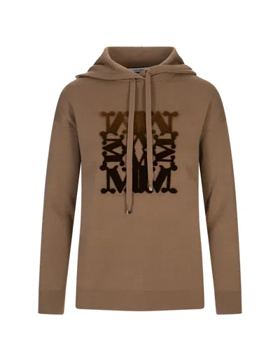 Max Mara "taddeo" Wool Sweatshirt In Brown