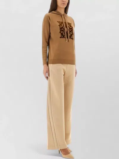 Max Mara Taddeus Hooded Sweater Long Sleeve Knit In Neutral
