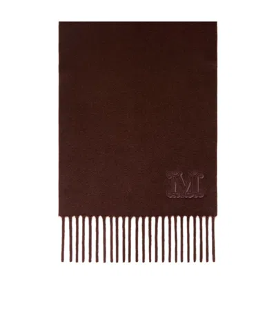Max Mara Embroidered Fringe-trim Scarf In Brown