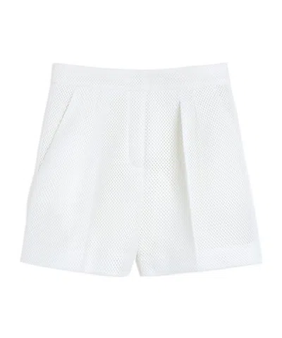 MAX MARA TECHNICAL MESH SHORTS