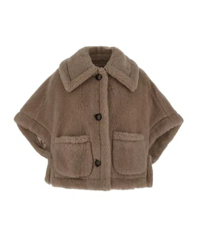 Max Mara Teddy Short-sleeve Cropped Jacket In Brown