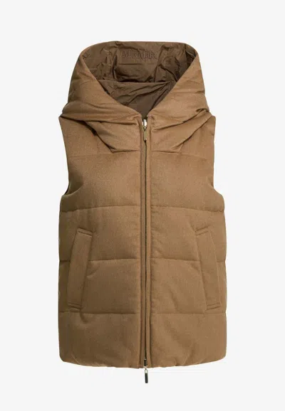 Max Mara The Cube Delfy Zip-up Hooded Vest In Brown