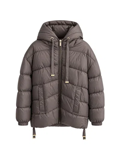 Max Mara The Cube Down Jacket "ariete" The Cube With Hood Max Mara The In Brown