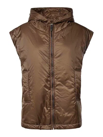 Max Mara The Cube Hooded Canvas Vest In Brown