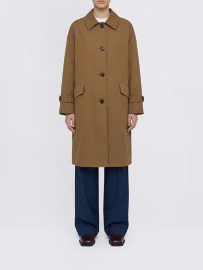 Max Mara The Cube Jacket  Woman Color Brown