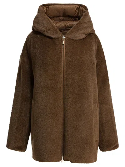 Max Mara The Cube Jackets & Coats In Brown