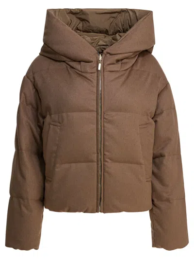 Max Mara The Cube Reversible Short Down Jacket Jackets And Coats Brown