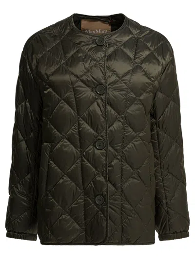 Max Mara The Cube Short Canvas Down Jacket Jackets And Coats Green In Multi