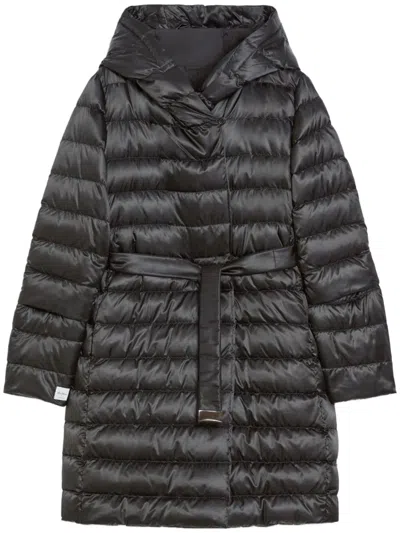 Max Mara The Cube Novef In Black