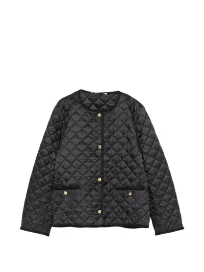 Max Mara The Cube Nylon Quilted Blouson Jacket In Black