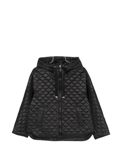 Max Mara The Cube Padded Blouson Jacket In Black