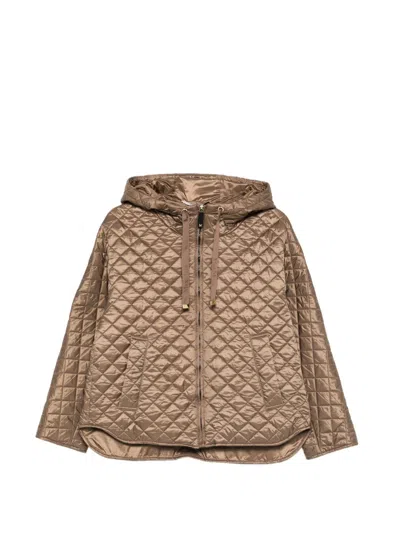 Max Mara The Cube Padded Blouson Jacket In Brown