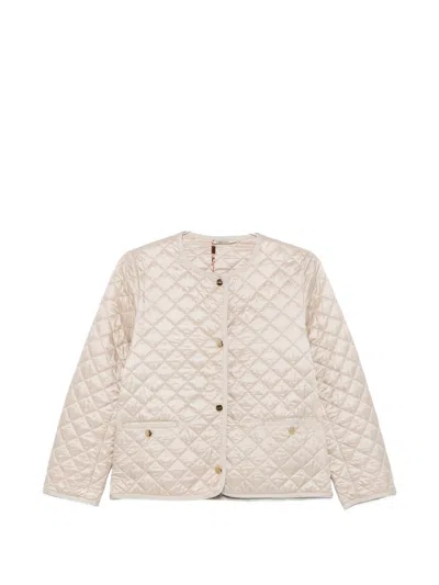 Max Mara The Cube Quilted Blouson Jacket In Brown
