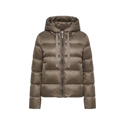 Max Mara The Cube Quilted Hooded Jacket In Brown