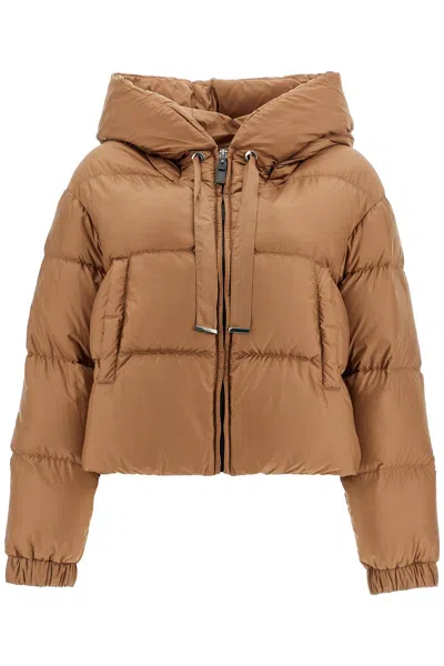 Max Mara The Cube Short Hooded Down Jacket In Red