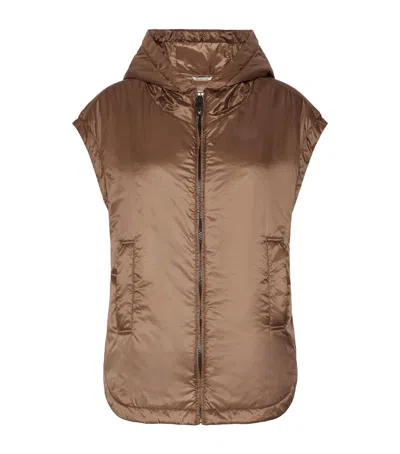 Max Mara The Cube Sleeveless Jacket In Brown