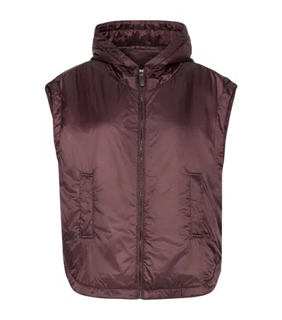 Max Mara The Cube Sleeveless Jacket In Brown
