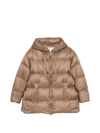 Max Mara The Cube The Cube Hooded Puffer Jacket In Brown